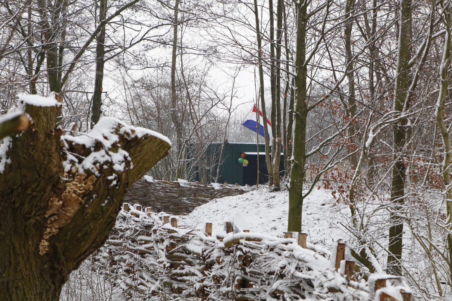 Amalia in de sneeuw